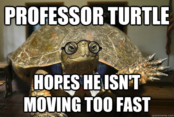 Professor Turtle Hopes he isn't moving too fast  