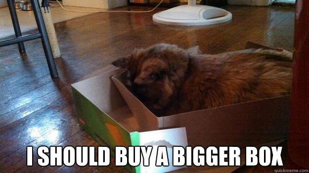  I should buy a bigger box -  I should buy a bigger box  Misc
