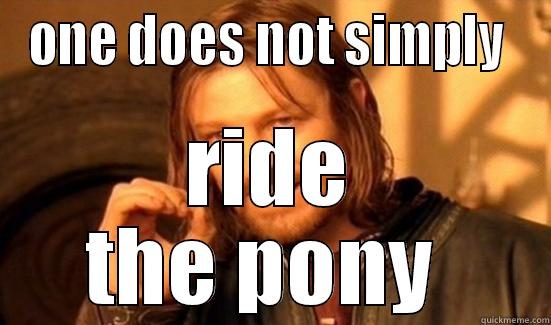 ONE DOES NOT SIMPLY  RIDE THE PONY  Boromir