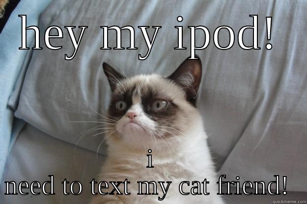 give me my ipod back!! - HEY MY IPOD! I NEED TO TEXT MY CAT FRIEND!  Grumpy Cat