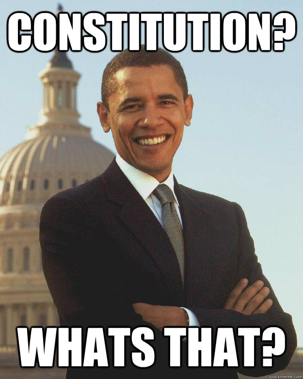 Constitution? Whats that?  barak obama sucks