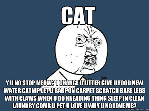 cat y u no stop meow? i change u litter give u food new water catnip let u barf on carpet scratch bare legs with claws when u do kneading thing sleep in clean laundry comb u pet u love u why u no love me?  Y U No