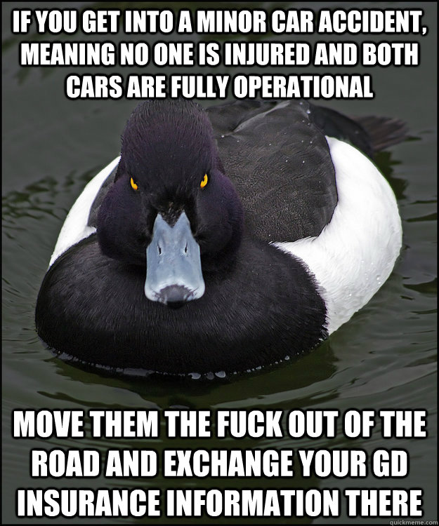 If you get into a minor car accident, meaning no one is injured and both cars are fully operational Move them the fuck out of the road and exchange your GD insurance information there  Angry Advice Duck
