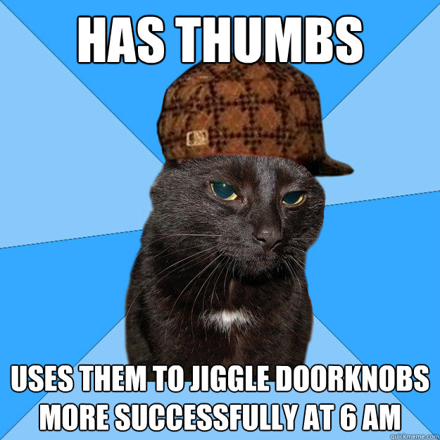 Has thumbs Uses them to jiggle doorknobs more successfully at 6 am  Scumbag Cat