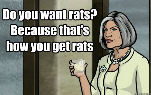 Do you want rats? Because that's how you get rats - Do you want rats? Because that's how you get rats  Malory Archer Words of Wisdom
