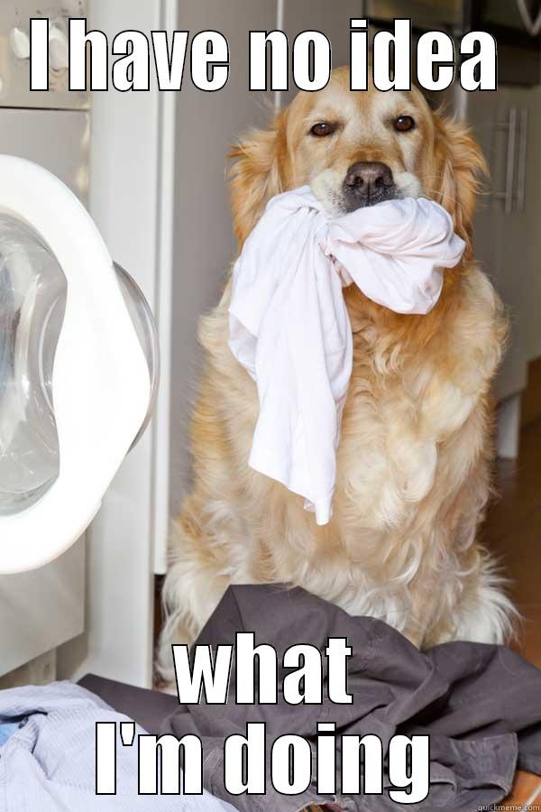 I HAVE NO IDEA WHAT I'M DOING Misc