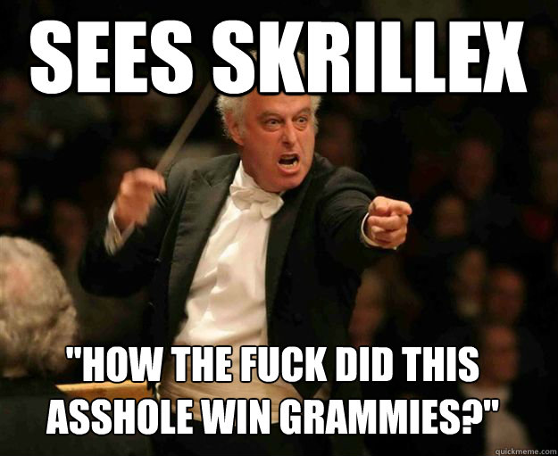 sees skrillex 