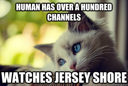 Human has over a hundred channels watches jersey shore  First World Cat Problems
