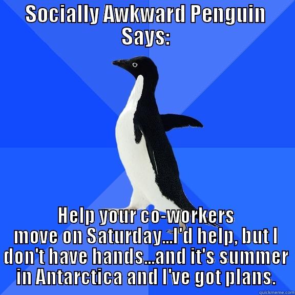 SOCIALLY AWKWARD PENGUIN SAYS: HELP YOUR CO-WORKERS MOVE ON SATURDAY...I'D HELP, BUT I DON'T HAVE HANDS...AND IT'S SUMMER IN ANTARCTICA AND I'VE GOT PLANS. Socially Awkward Penguin