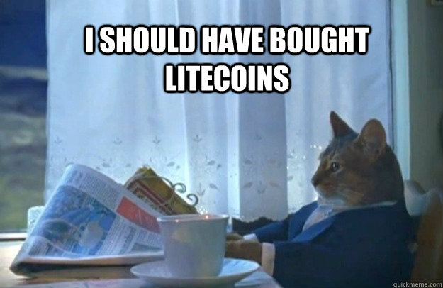 I SHOULD HAVE BOUGHT LITECOINS  Sophisticated Cat