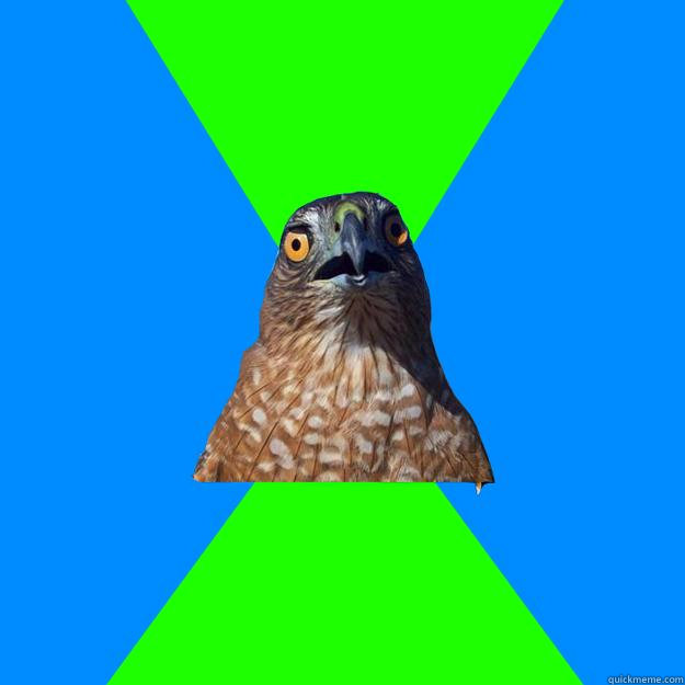     Hawkward
