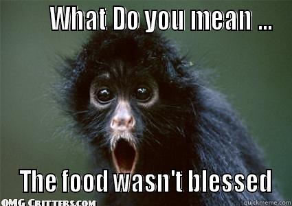        WHAT DO YOU MEAN ...  THE FOOD WASN'T BLESSED Misc