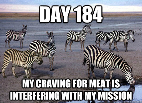 Day 184 My craving for meat is interfering with my mission  Zebra Lion