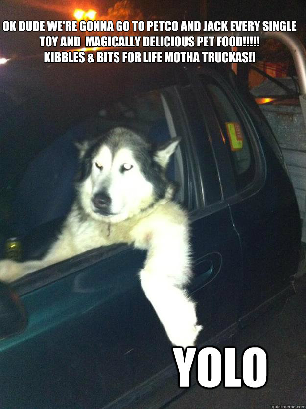 ok dude we're gonna go to petco and jack every single toy and  magically delicious pet food!!!!!
kibbles & bits for life motha truckas!! yolo  Mean Dog