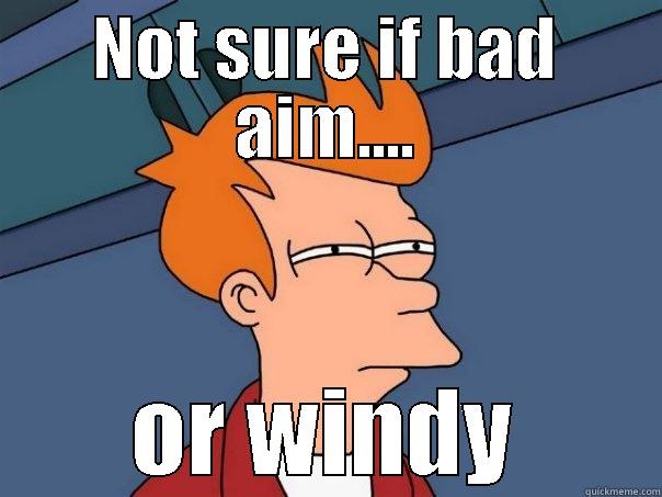 NOT SURE IF BAD AIM.... OR WINDY Futurama Fry