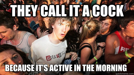 they call it a cock because it's active in the morning  Sudden Clarity Clarence