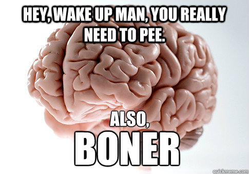 Hey, wake up man, you really need to pee. boner also,  Scumbag Brain