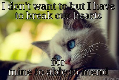 I DON'T WANT TO BUT I HAVE TO BREAK OUR HEARTS FOR MINE TO ABLE TO MEND First World Problems Cat