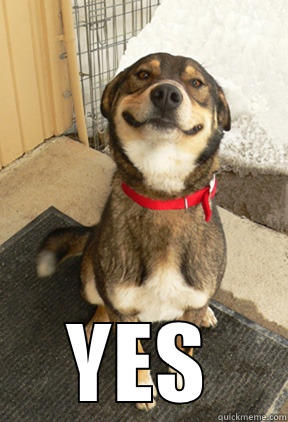 yes dog -  YES Good Dog Greg