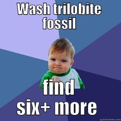 WASH TRILOBITE FOSSIL FIND SIX+ MORE  Success Kid