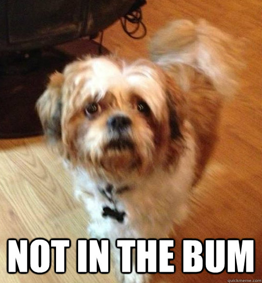  NOT IN THE BUM  