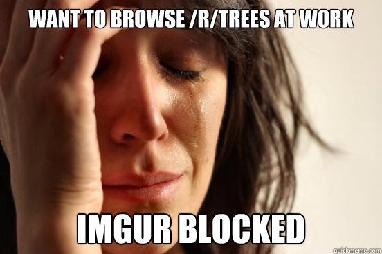 Want to browse /r/trees at work Imgur blocked  First World Problems