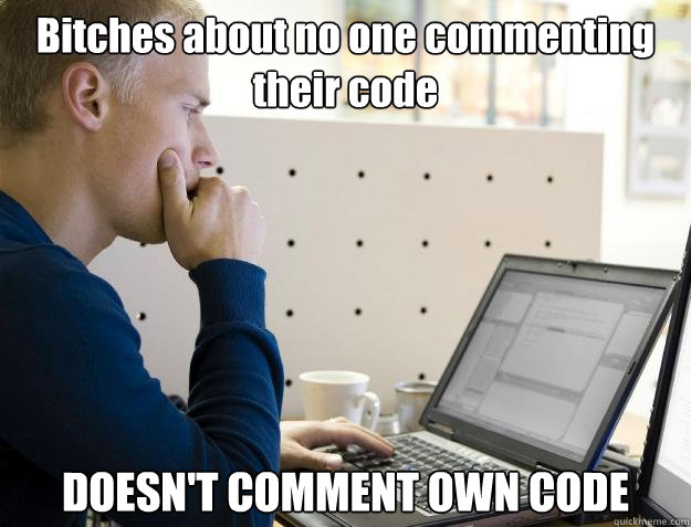 Bitches about no one commenting their code DOESN'T COMMENT OWN CODE  Programmer
