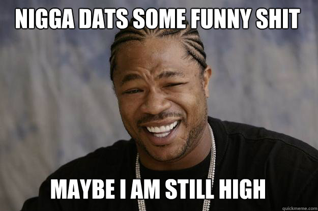 nigga dats some funny shit maybe I am still high  Xzibit meme