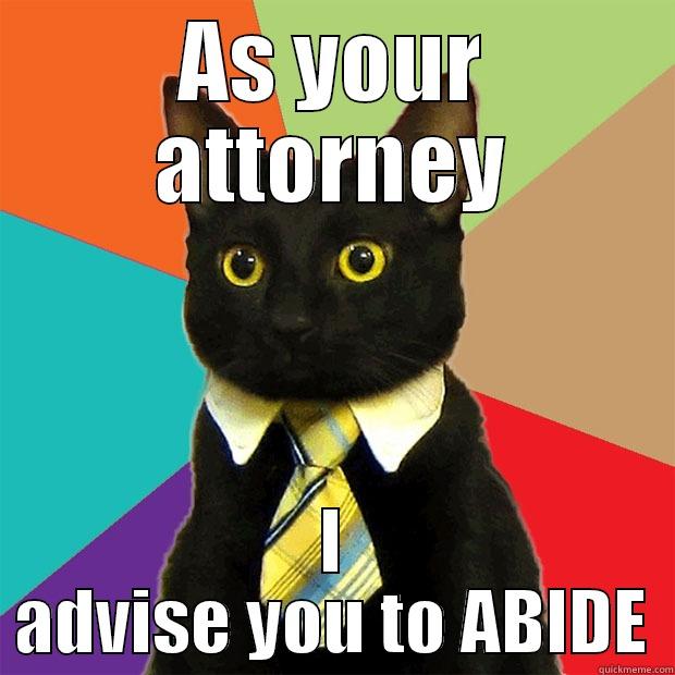 lawyer cat sez - AS YOUR ATTORNEY I ADVISE YOU TO ABIDE Business Cat