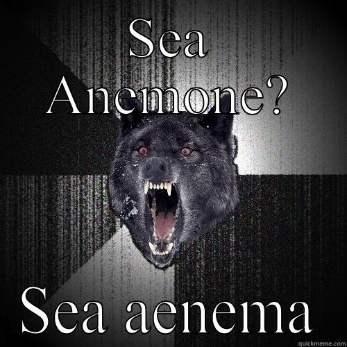 SEA ANEMONE? SEA AENEMA Insanity Wolf