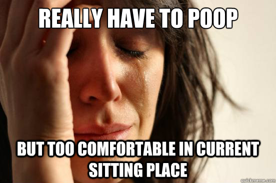 really Have to poop but too comfortable in current sitting place  First World Problems