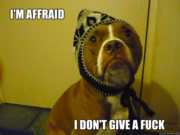 i'm affraid i don't give a fuck  