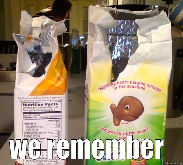  WE REMEMBER  Misc