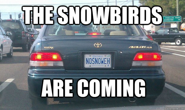 The Snowbirds are coming  