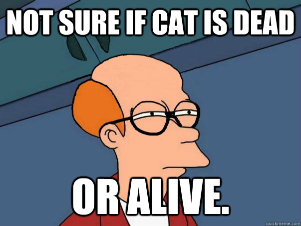 Not sure if cat is dead or alive. - Not sure if cat is dead or alive.  Schrdinger fry
