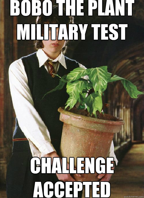 BOBO THE PLANT mIlitary test challenge accepted - BOBO THE PLANT mIlitary test challenge accepted  Nevile has a plant