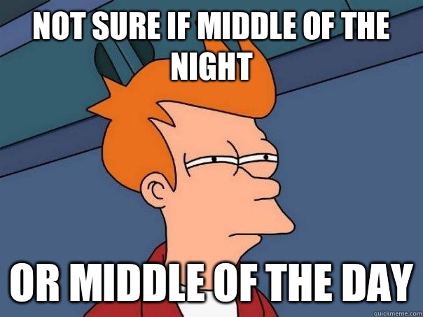 Not sure if middle of the night Or middle of the day  Futurama Fry