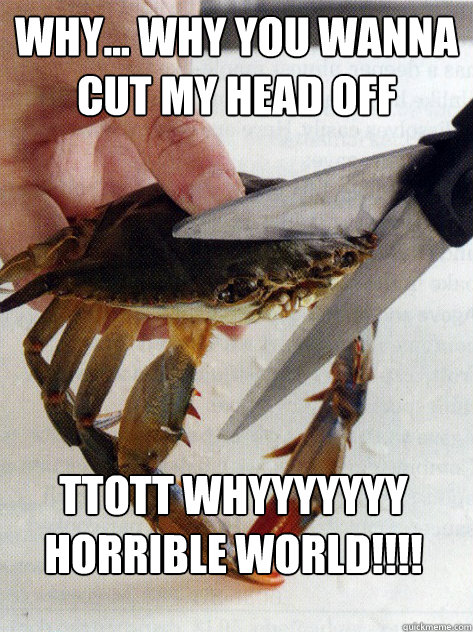 Why... Why you wanna cut my head off  TToTT WHYYYYYYY HORRIBLE WORLD!!!!  Optimistic Crab