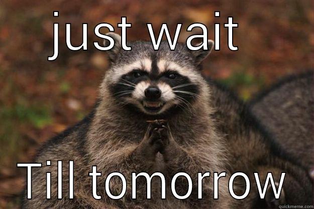 JUST WAIT  TILL TOMORROW Evil Plotting Raccoon