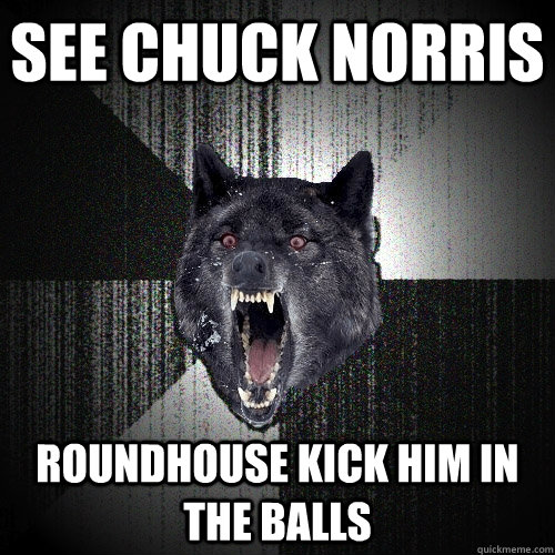 See Chuck Norris Roundhouse kick him in the balls  Insanity Wolf