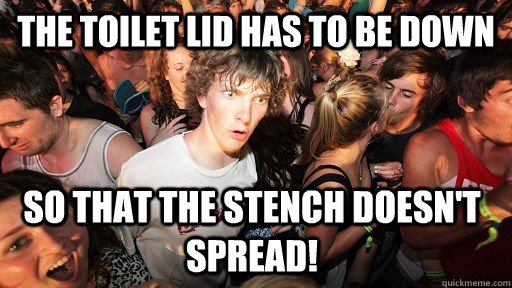 The toilet lid has to be down so that the stench doesn't spread!  Sudden
