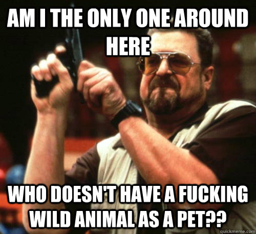 Am i the only one around here who doesn't have a fucking wild animal as a pet??  Am I The Only One Around Here