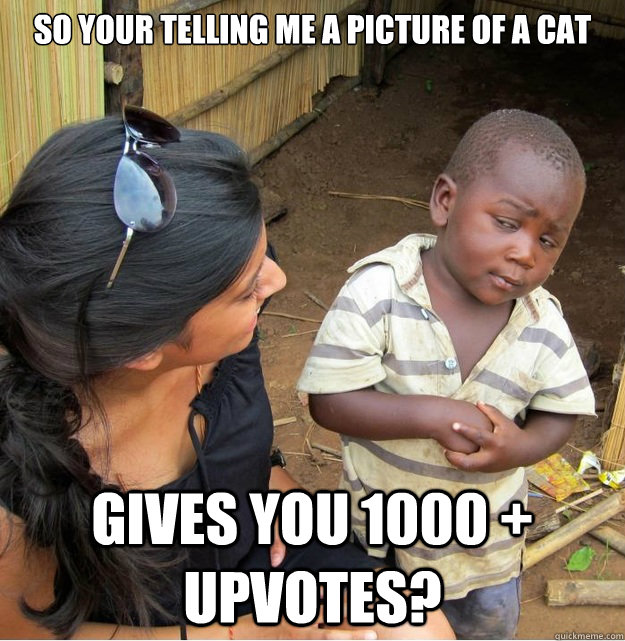 So your telling me a picture of a cat gives you 1000 + upvotes?  Skeptical Third World Kid