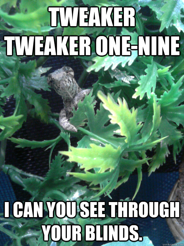 Tweaker tweaker one-nine I can you see through your blinds.  