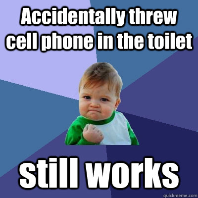 Accidentally threw cell phone in the toilet still works  Success Kid