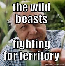 THE WILD BEASTS FIGHTING FOR TERRITORY Misc