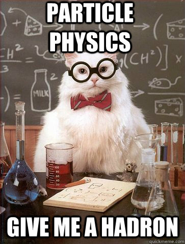 Particle Physics  Give me a hadron  Science Cat
