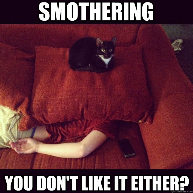 SMOTHERING YOU DON'T LIKE IT EITHER?  jealous cat
