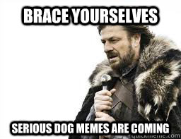 BRACE YOURSELVES serious dog memes are coming  
