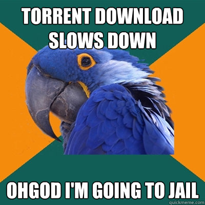 torrent download slows down ohgod i'm going to jail  Paranoid Parrot